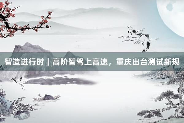 智造进行时｜高阶智驾上高速，重庆出台测试新规
