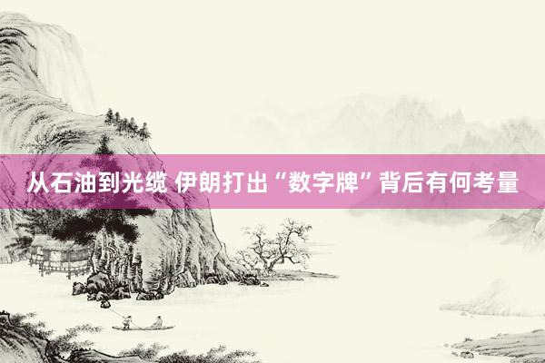 从石油到光缆 伊朗打出“数字牌”背后有何考量